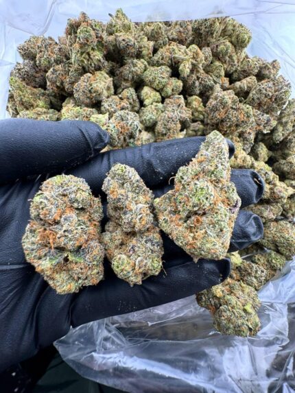 Blue Dream