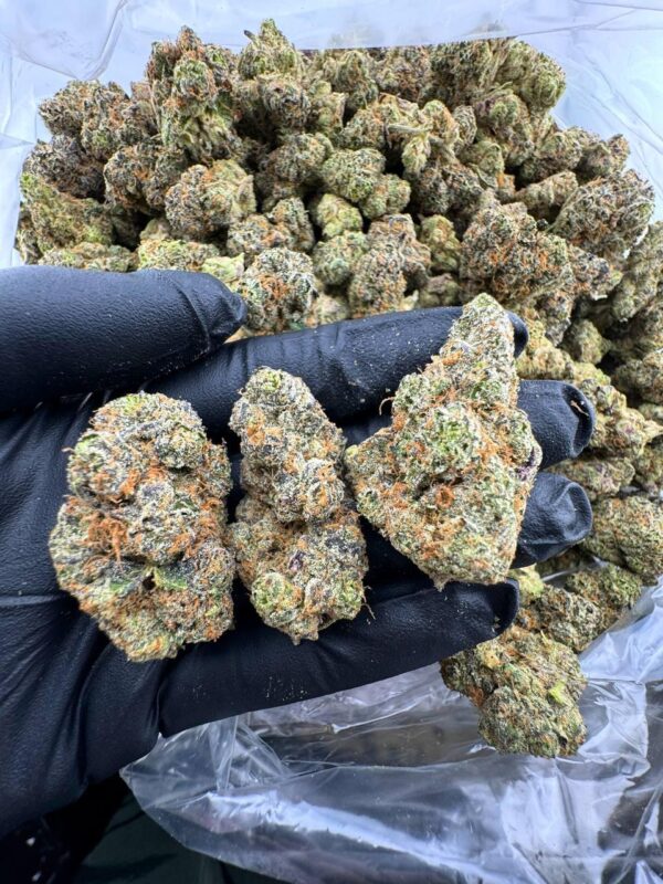 Blue Dream