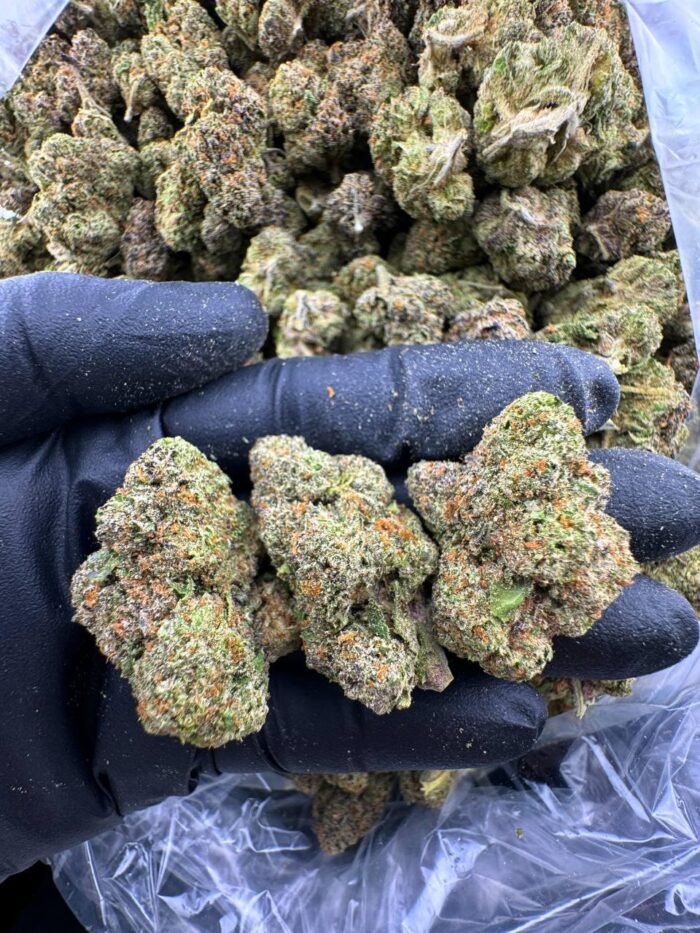 Girl Scout Cookies Girl Scout Cookies